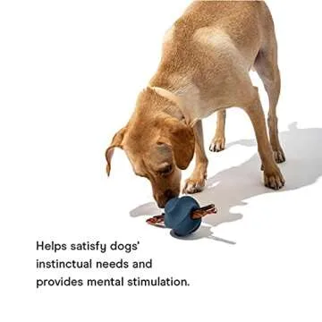 Wild One Twist Toss Dog Toy 100% Natural Rubber, Fun to Chew, Durable for Average Chewers, Fetch Toy, Treat Dispensing Blue