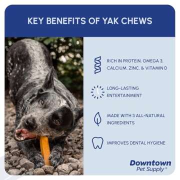 Downtown Pet Supply Yak Cheese Himalayan Dog Chews - Large Yak Chews Rich in Nutrients for Medium to Large Dogs - Long Lasting, Odorless and Easy to Digest Cheese Dog Treats - 10 LB