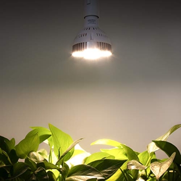 CANAGROW LED Grow Light - Full Spectrum, 35W Plant Growth