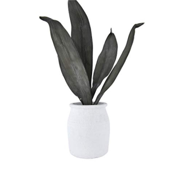 Versatile 7-Inch Terracotta Crock for Home Decor