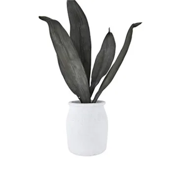 Versatile 7-Inch Terracotta Crock for Home Decor