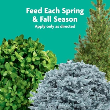 Miracle-Gro Tree & Shrub Food Spikes for Healthy Growth