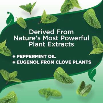 Vet's Best Flea and Tick Yard and Kennel Spray - kills Mosquitoes with Certified Natural Oils - Plant Safe with Ready-to-Use Hose Attachment - 32 oz