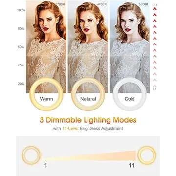 ELECTRIC GIANT Video Conference Lighting for Clear Calls