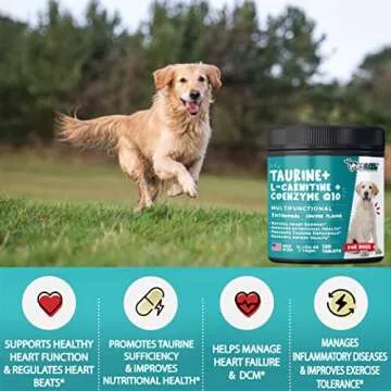 Pet LOL Taurine Supplement for Heart Health in Dogs