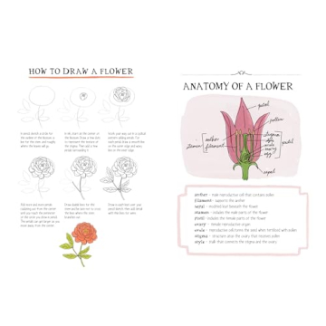 Nature Anatomy Notebook for Creative Observation Tracking