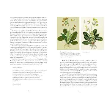 A Curious Herbal: Elizabeth Blackwell Botany Masterpiece