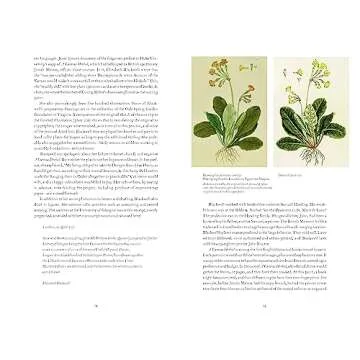 A Curious Herbal: Elizabeth Blackwell Botany Masterpiece