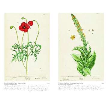 A Curious Herbal: Elizabeth Blackwell Botany Masterpiece