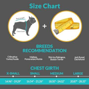 Queenmore Small Dog Life Jacket,Shark Dog Life Vest for Swimming,Puppy Light Life Preserver for Boating kayaking Canoeing,Pet Reflective Lifesaver with High Buoyancy,Rescue Handle,Leash Hook (Pink,XS)