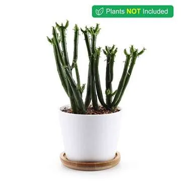 T4U 3.5 Inch Ceramic White Succulent Plant Pot