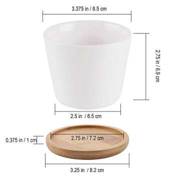 T4U 3.5 Inch Ceramic White Succulent Plant Pot