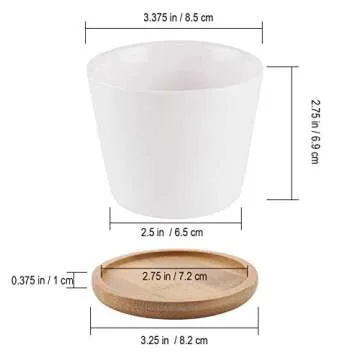 T4U 3.5 Inch Ceramic White Succulent Plant Pot