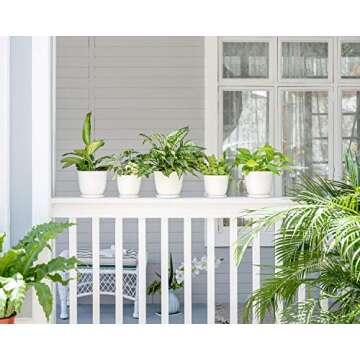 Mkono 5.5" Plastic Plant Pots with Saucers, Indoor Set of 5, Cream White