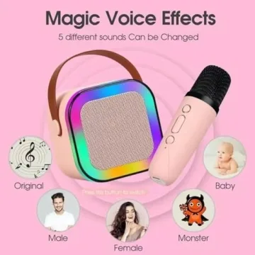 Stellaya Mini Karaoke Machine with 2 Mic Set