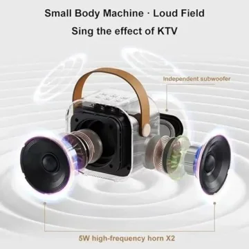 Stellaya Mini Karaoke Machine with 2 Mic Set