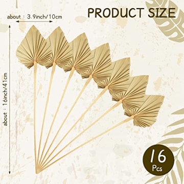 Coume 16 Pcs Boho Dried Palm Leaves for Decor