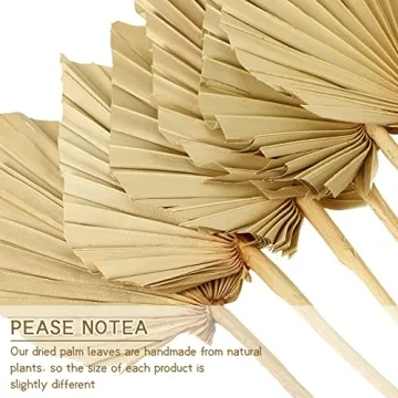 Coume 16 Pcs Boho Dried Palm Leaves for Decor