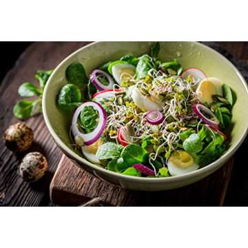 Nature Jims Sprouts Salad Sprout Mix - Organic Salad Mix for Growing - Non-GMO Microgreen Seeds - Healthy Broccoli, Alfalfa, Radish, Clover Sprouting Seeds Variety Mix - Microgreens Growing 1lb