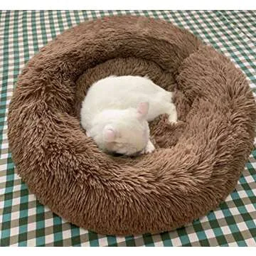 BODISEINT Modern Soft Plush Round Pet Bed for Cats or Small Dogs, Mini Medium Sized Dog Cat Bed Self Warming Autumn Winter Indoor Snooze Sleeping Cozy Kitty Teddy Kennel (20'' D x 8'' H, Coffee)