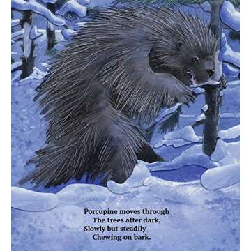 Daytime Nighttime, All Through the Year