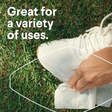 Clorox Disinfecting Wipes Value Pack, 75 Count, 2 Pack