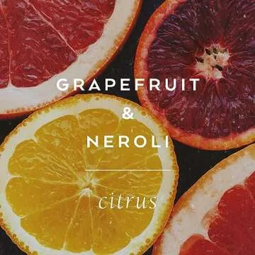 Archive Journey Within Bubble Bath for Adults, 33.8 fl. oz. – Grapefruit & Neroli Fragrance – Blend of Natural Oils, Refine Bath Bubbles for Women or Men, Adult Bubble Bath