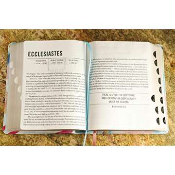 Jesus Bible Artist Edition, NIV Leathersoft—Multi-color with Tabs