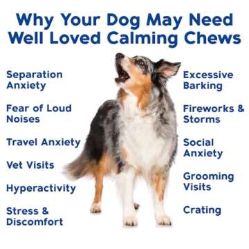 Vet Recommended Calming Chews for Dogs Made in USA
