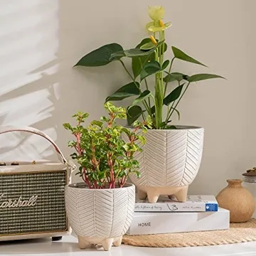 LA JOLIE MUSE Footed Flower Pots for Indoor Decor