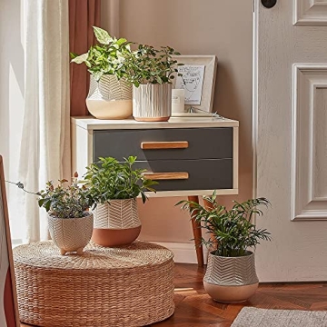 LA JOLIE MUSE Footed Flower Pots for Indoor Decor