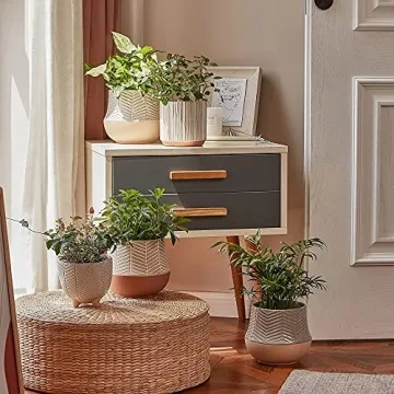 LA JOLIE MUSE Footed Flower Pots for Indoor Decor