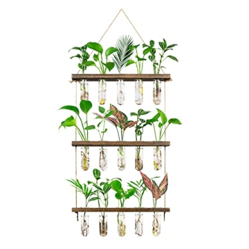 Monsiter QE 3 Tier Large Propagation Stations Wall Hanging Plant Terrarium with Wooden Stand, Retro ...