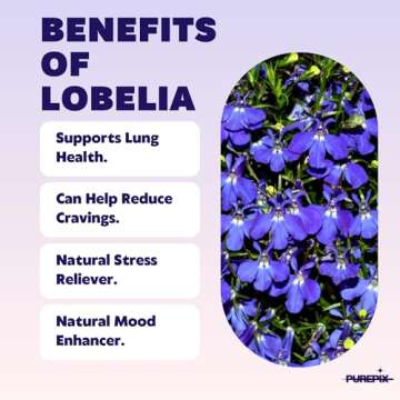 PurePix QuitPix to Help Quit Smoking Extra Thick Boosting Flavored Toothpicks with Lobelia Plant Tha...