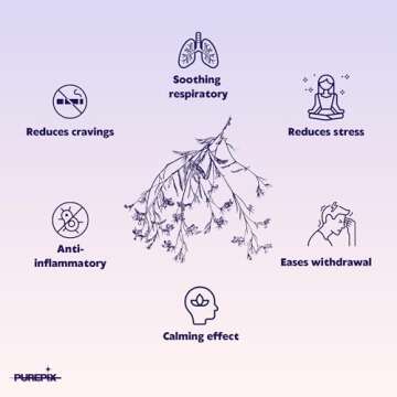 PurePix QuitPix Flavored Toothpicks for Quitting Smoking