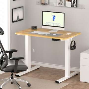 FLEXISPOT EN1 One Piece Standing Desk: Adjustable Electric Height for Small Spaces