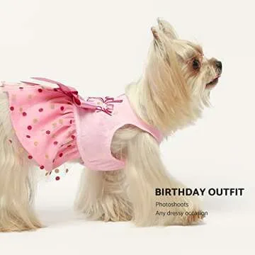 Fitwarm Birthday Girl Dress for Small Dogs - Pink Tulle Dress
