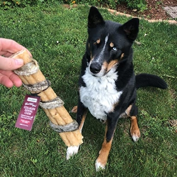 Icelandic+ Beef Collagen Dental Chew Stick Wrapped with Fish
