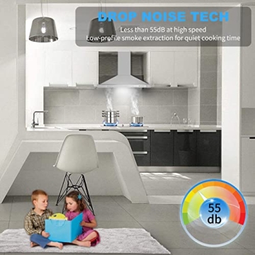 Tieasy 36" Stainless Steel Range Hood with LED