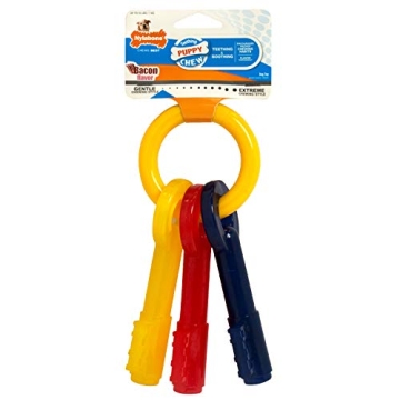 Nylabone Puppy Chew Keys Toy - Perfect for Teething Puppies