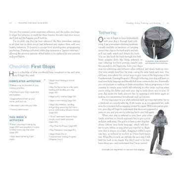 Training the Best Dog Ever: A 5-Week Program Using the Power of Positive Reinforcement