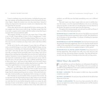 Training the Best Dog Ever: A 5-Week Program Using the Power of Positive Reinforcement