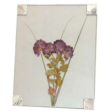 BestNest Nature Press, 12" x 18"