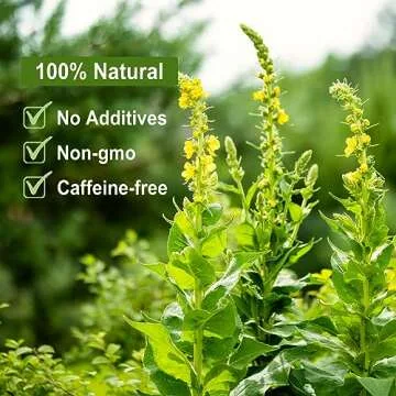FullChea - Mullein Leaf Tea, 2.5oz/71g - Mullein tea for lungs - Naturally Loose Leaves Herb, Cut & Sifted - Non-GMO - Caffeine-free - Support Respiratory Health