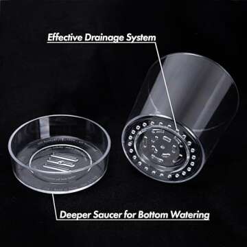 Phoenix Vine 6.5 InchClear Acrylic Planter Pot with Tray, Orchid Pot with Drainage Holes, Deep Saucer for Bottom Watering, Transparent Containers for Indoor Plants, Herbs, Set of 2, 91-A-F-2