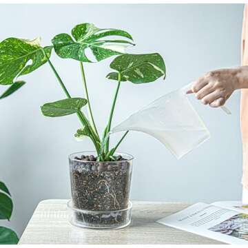 Phoenix Vine 6.5 InchClear Acrylic Planter Pot with Tray, Orchid Pot with Drainage Holes, Deep Saucer for Bottom Watering, Transparent Containers for Indoor Plants, Herbs, Set of 2, 91-A-F-2