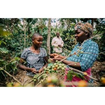 Paulig Presidentti (President) - Fine Grind - Premium Filter Blend Ground Coffee - Bag 500g (Finland) (4 Bags (Save 25%))