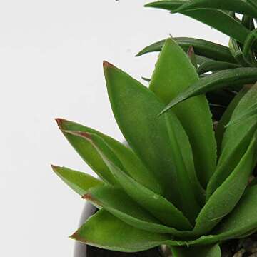 Hollyone Large Artificial Succulents Plants Faux Succulents in Pots Fake Succulent Potted Plants with Ceramic Pot for Home Decor Office Desk Bathroom Shelf Living Room