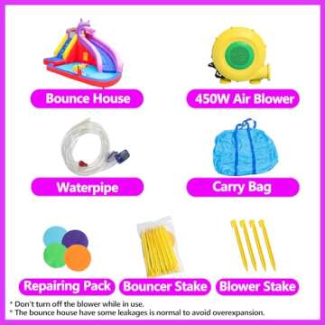 Doctor Dolphin Inflatable Bounce House Water Slide for Kids