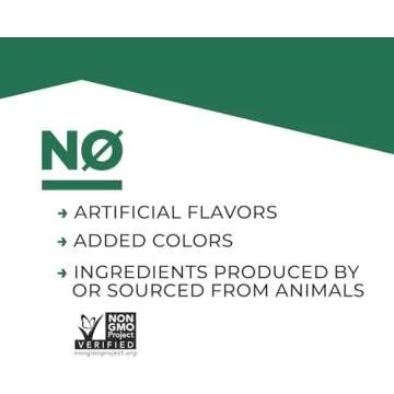 Evolve Plant Based Protein Powder, Vanilla Bean, 20g Vegan Protein, Dairy Free, No Artificial Flavors, Non-GMO, 10g Fiber, Amazon Exclusive, 2 Pound (Packaging May Vary)
